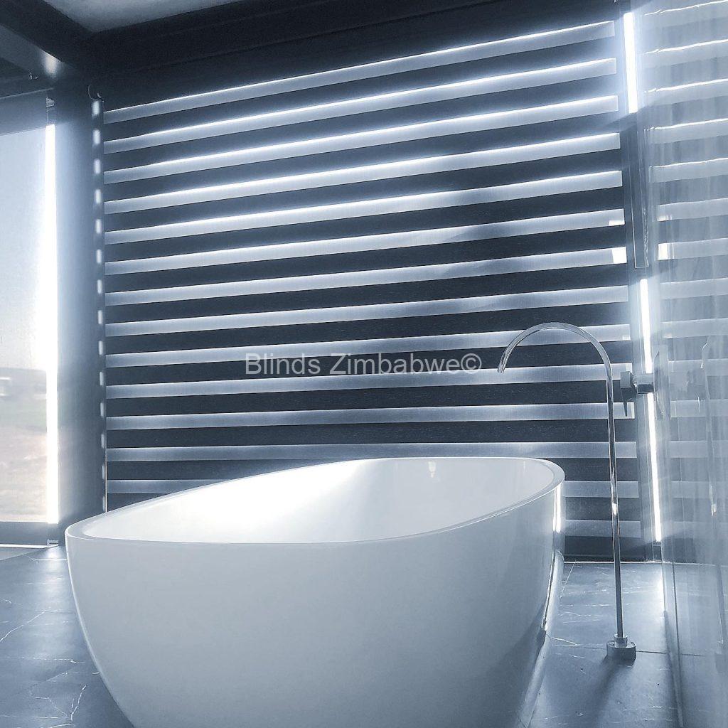 Zebra Blinds